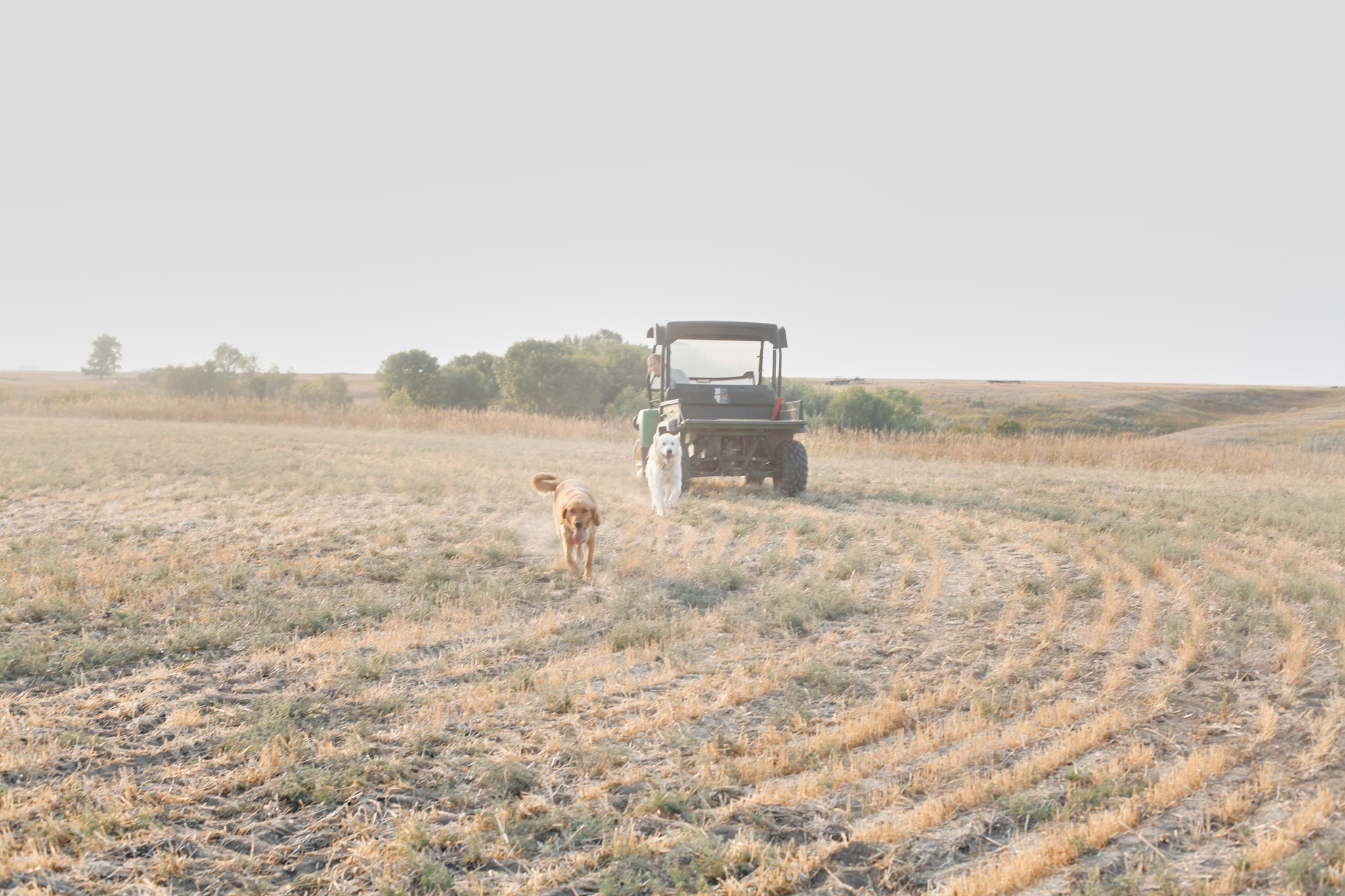 Farmer’s Shepherd Pie Edited 11