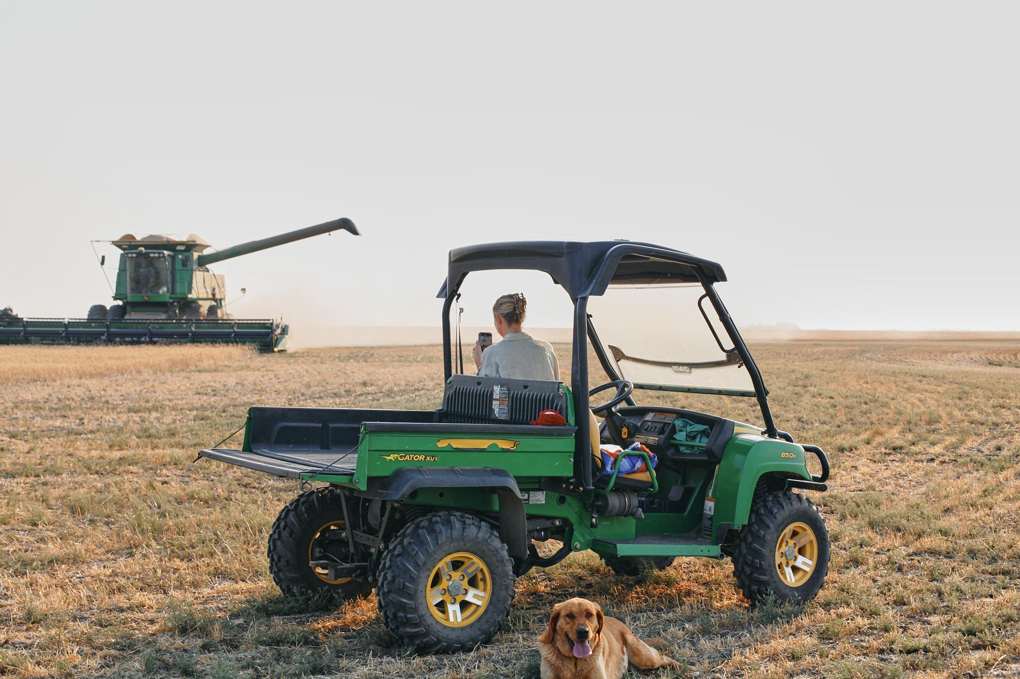 Farmer’s Shepherd Pie Edited 13